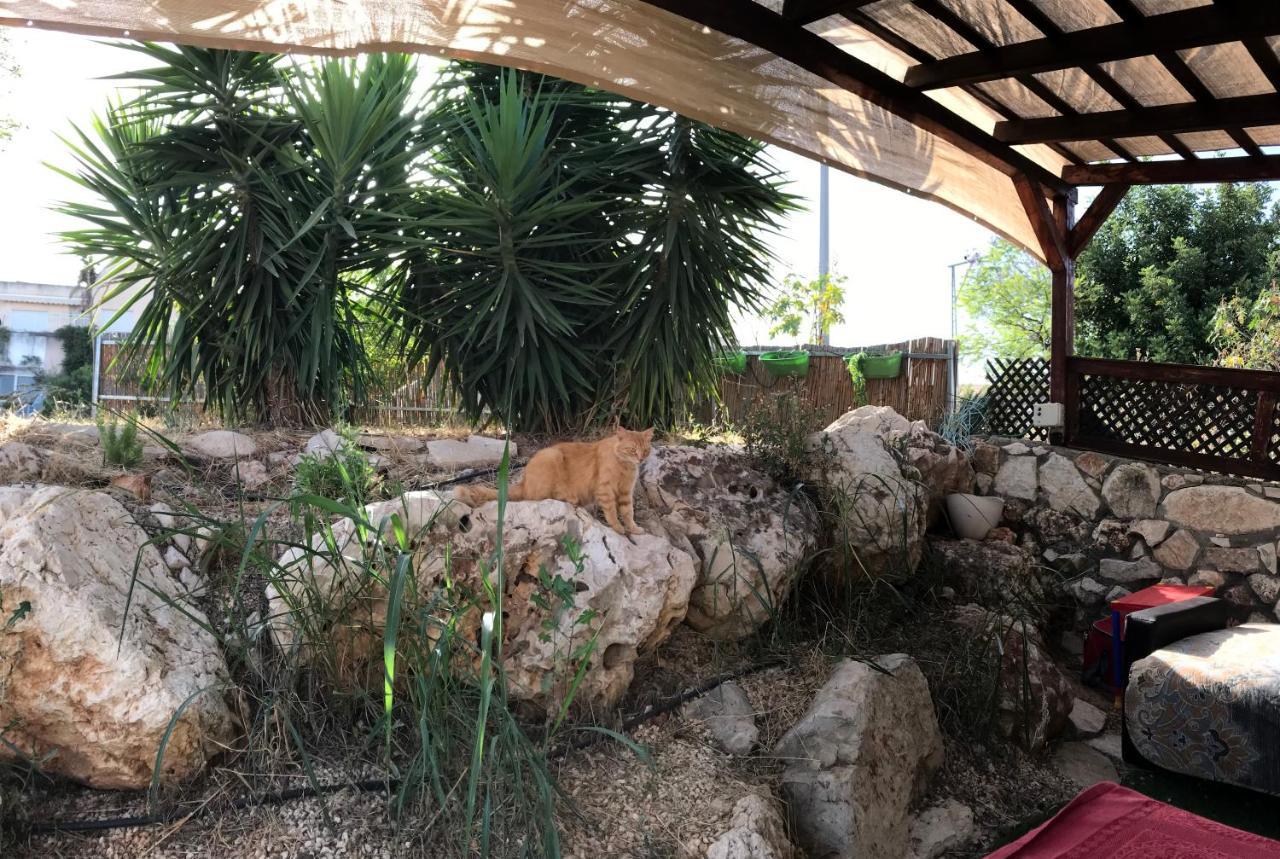 Panorama Kinneret נוף כנרת, צפת Kültér fotó
